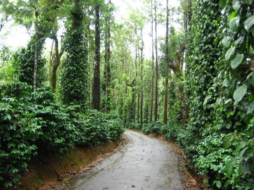 Coorg: The Scotland of India Coorg: The Scotland of India
