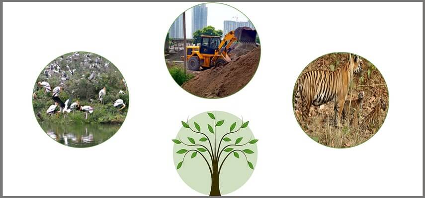 संपत्ति खरीदने से पहले पारिस्थितिकी संवेदनशील क्षेत्रों के बारे में जानें संपत्ति खरीदने से पहले पारिस्थितिकी संवेदनशील क्षेत्रों के बारे में जानें