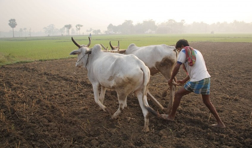 Realty News Roundup: Supreme Court Says Higher Compensation For Farmers Won't Set A Precedent; Livspace acquired Dwll.in