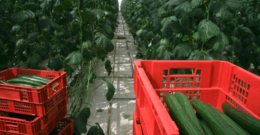 Farm & Open Spaces Add Value To Real Estate Projects Farm & Open Spaces Add Value To Real Estate Projects