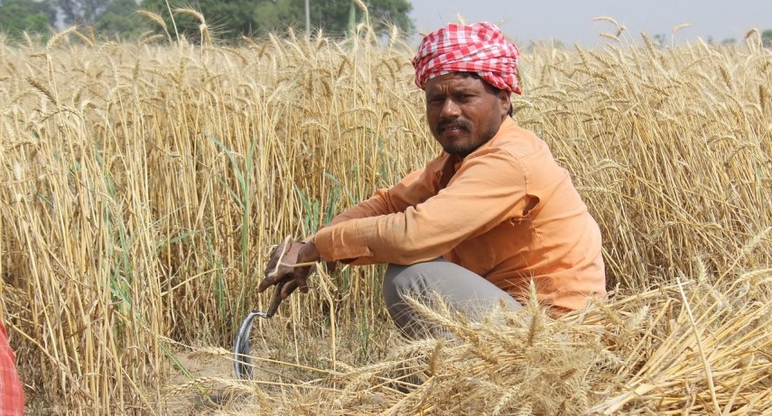 भारत में घरेलू संपत्ति वितरण क्या हमें बताता है भारत में घरेलू संपत्ति वितरण क्या हमें बताता है