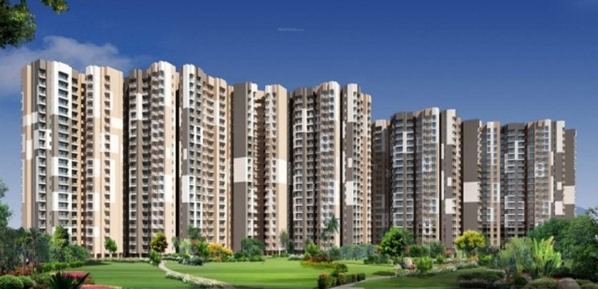 फोकस में परियोजना: एक्सपोटिका द्वारा ड्रीमविल 